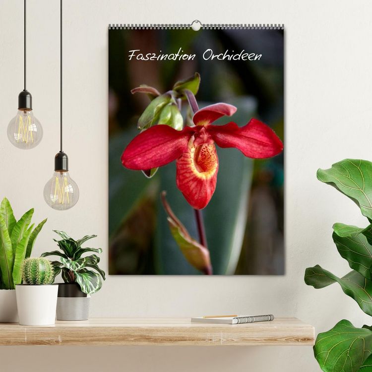 Produktbild: Faszination Orchideen (Wandkalender 2026 DIN A2 hoch), CALVENDO Monatskalender