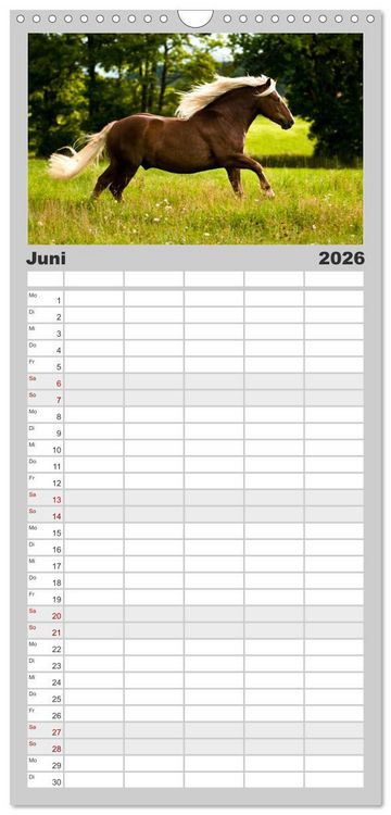 Produktbild: Familienplaner 2026 - Faszination und Vielfalt - Schwarzw&auml;lder Kaltblut mit 5 Spalten (Wandkalender, 21 x 45 cm) CALVENDO