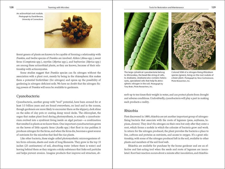 Produktbild: Teaming with Microbes