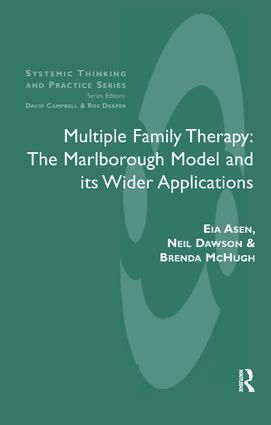 Produktbild: Asen, E: Multiple Family Therapy