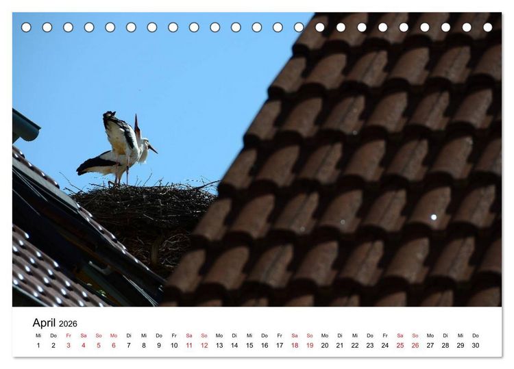 Produktbild: Impressionen vom Kaiserstuhl (Tischkalender 2026 DIN A5 quer), CALVENDO Monatskalender