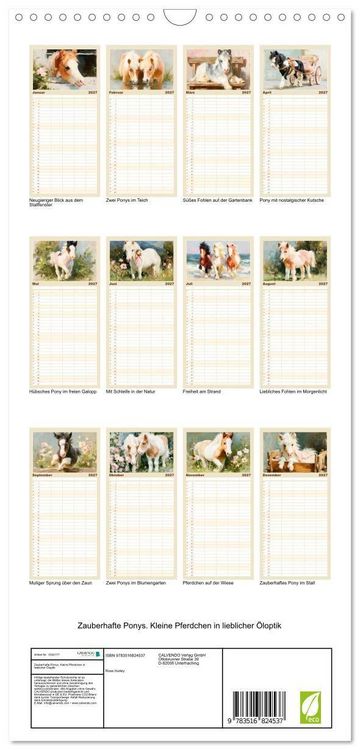 Produktbild: Familienplaner 2027 - Zauberhafte Ponys. Kleine Pferdchen in lieblicher &Ouml;loptik mit 5 Spalten (Wandkalender, 21 x 45 cm) CALVENDO