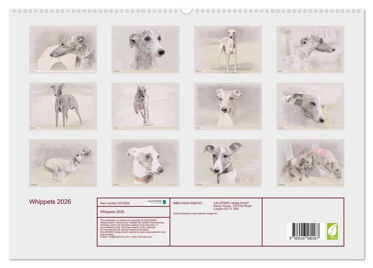 Produktbild: Whippets 2026 (High Quality Premium Wall Calendar 2026 DIN A2 landscape),CALVENDO 12 Month Wall Calendar