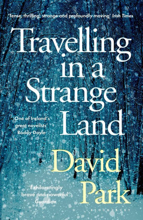 Produktbild: Travelling in a Strange Land