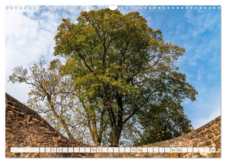 Produktbild: Gelnhausen Inside (Wandkalender 2026 DIN A3 quer), CALVENDO Monatskalender