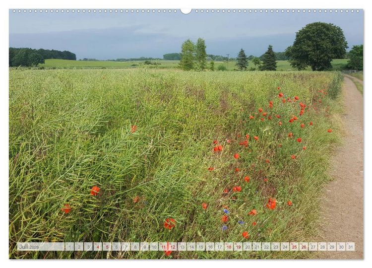 Produktbild: Natur-Paradies Mecklenburgische Schweiz (Wandkalender 2026 DIN A2 quer), CALVENDO Monatskalender