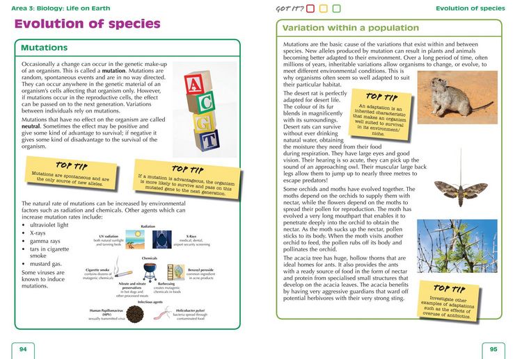 Produktbild: N5 BIOLOGY LECKIE COMPLETE R&P