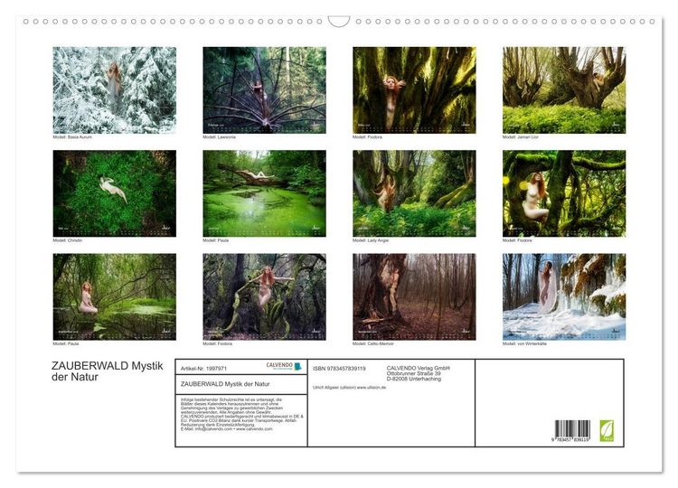 Produktbild: ZAUBERWALD Mystik der Natur (Wandkalender 2026 DIN A2 quer), CALVENDO Monatskalender
