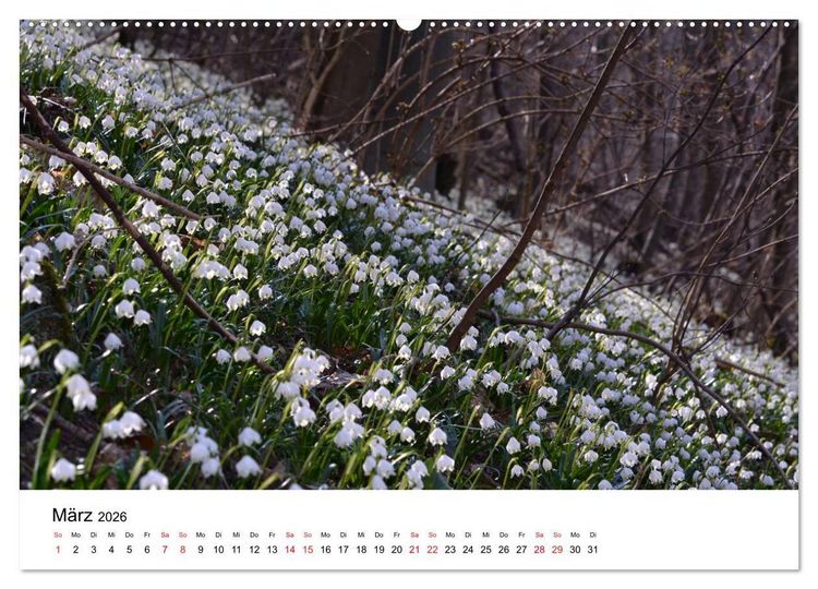 Produktbild: Zauberhafte Schw&auml;bische Alb (hochwertiger Premium Wandkalender 2026 DIN A2 quer), Kunstdruck in Hochglanz