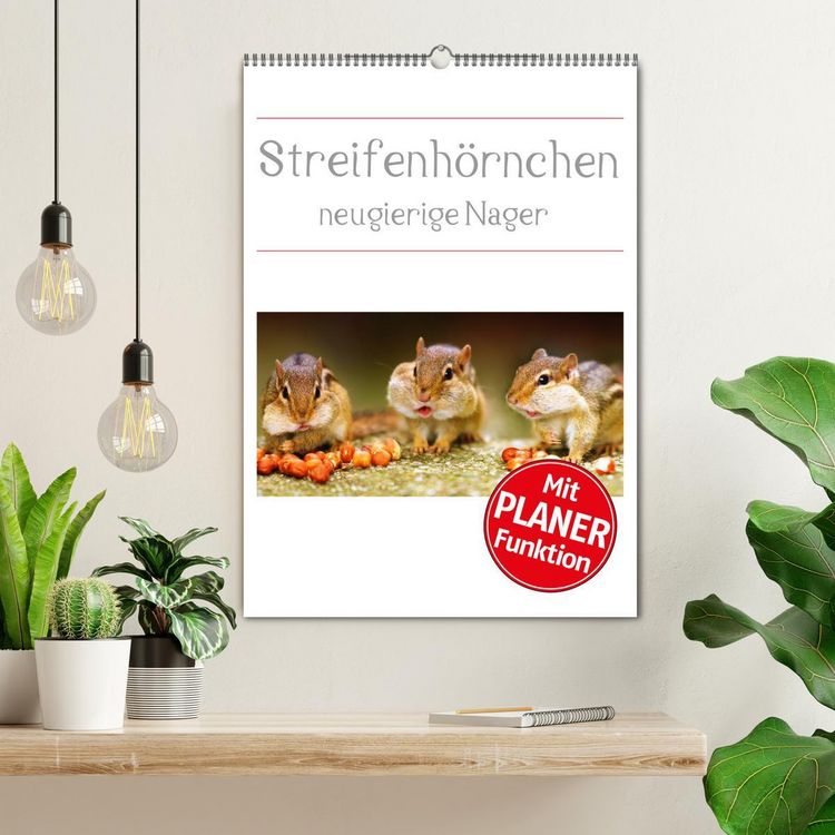 Produktbild: Streifenh&ouml;rnchen - neugierige Nager (Wandkalender 2026 DIN A2 hoch), CALVENDO Monatskalender