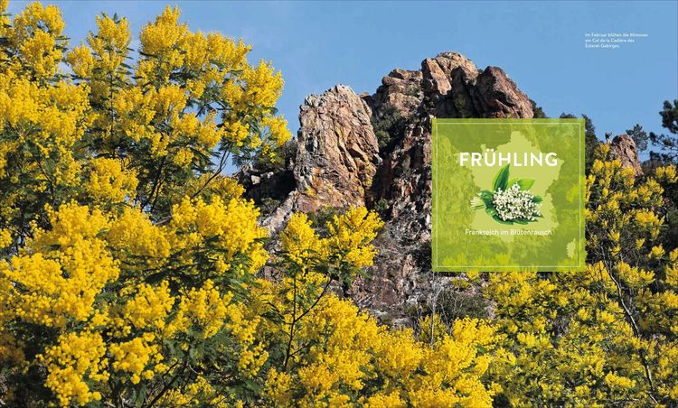 Produktbild: Frankreich zu jeder Jahreszeit