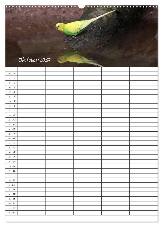 Produktbild: Wellensittiche (Wandkalender 2027 DIN A2 hoch), CALVENDO Monatskalender