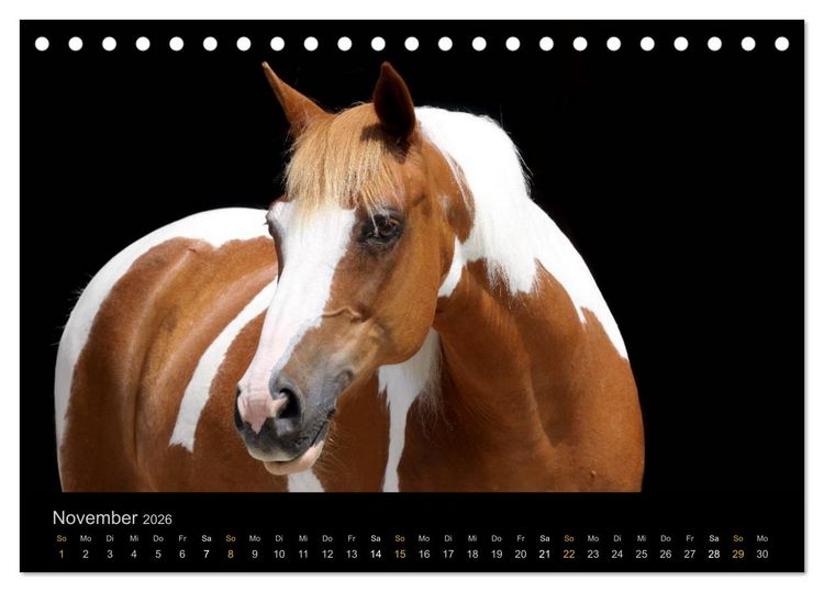 Produktbild: Magische Momente - Pferde Horses Caballos (Tischkalender 2026 DIN A5 quer), CALVENDO Monatskalender