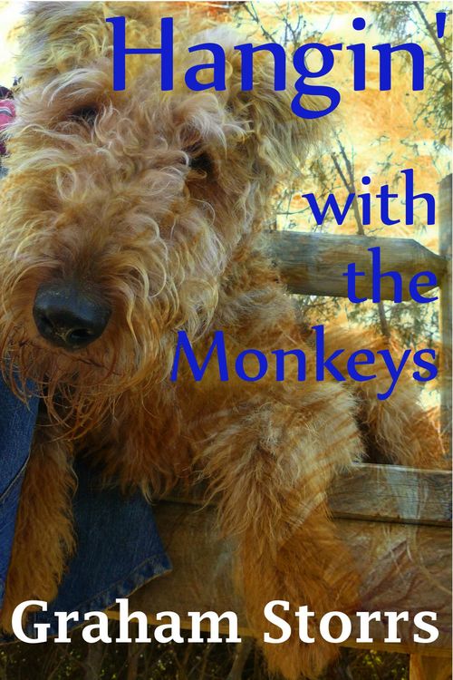 Produktbild: Hangin' With the Monkeys