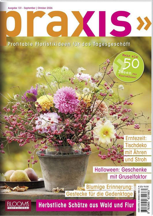 Produktbild: PRAXIS Nr. 131