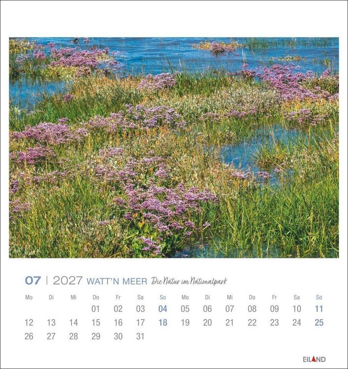 Produktbild: Watt'n Meer Postkartenkalender 2027 - Die Natur im Nationalpark