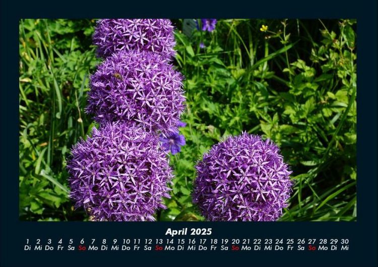 Produktbild: Blumenzauber 2025 Fotokalender DIN A4