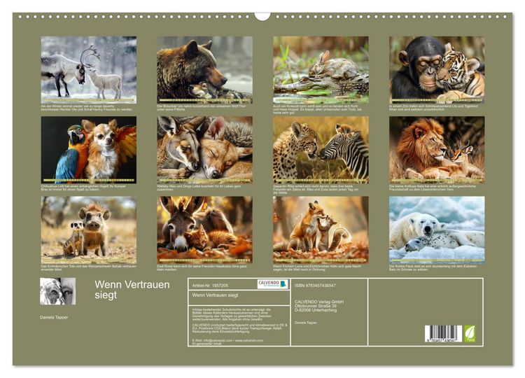 Produktbild: Wenn Vertrauen siegt (Wandkalender 2026 DIN A2 quer), CALVENDO Monatskalender