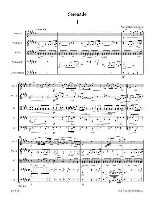 Produktbild: Serenade f&uuml;r Streichorchester E-Dur op. 22