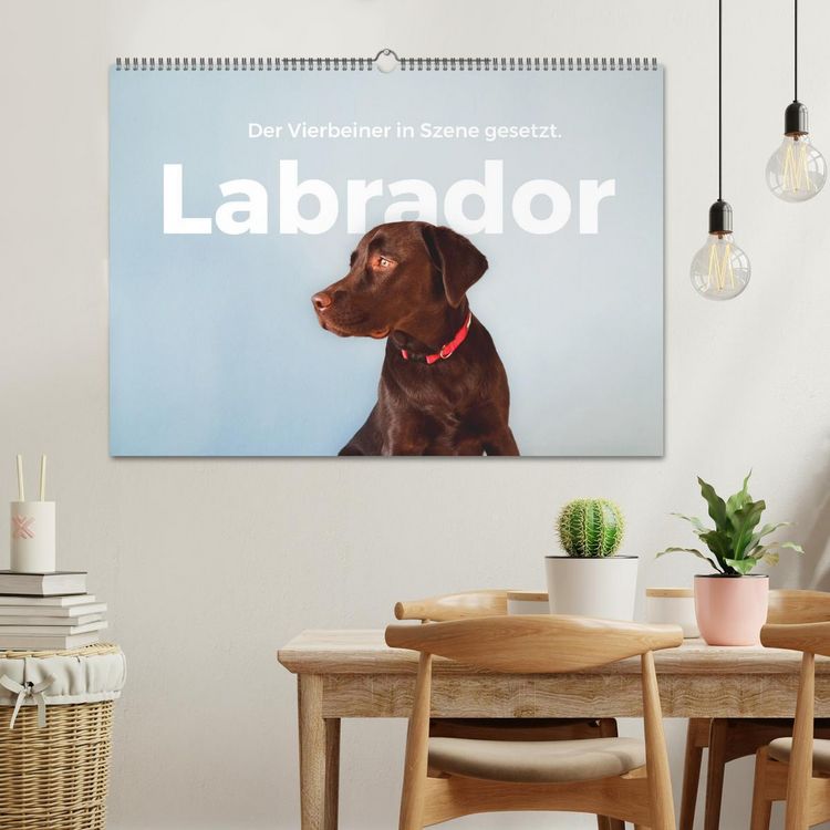 Produktbild: Labrador - Der Vierbeiner in Szene gesetzt. (Wandkalender 2026 DIN A2 quer), CALVENDO Monatskalender