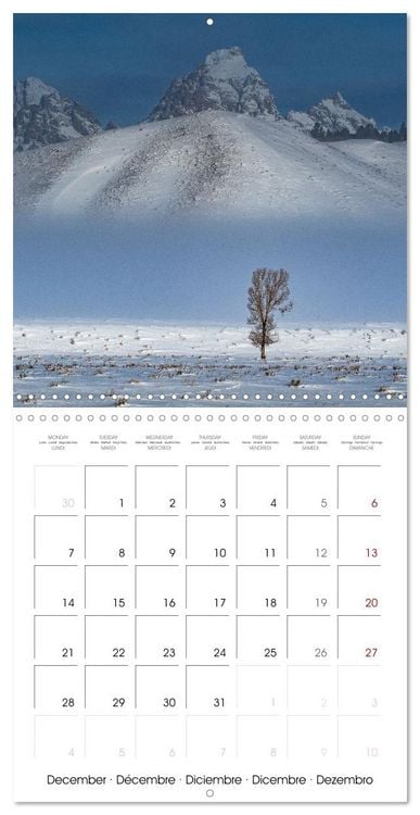 Produktbild: Teton National Park (Wall Calendar 2026 12 &times; 12 Inch) CALVENDO 12 Month Wall Calendar