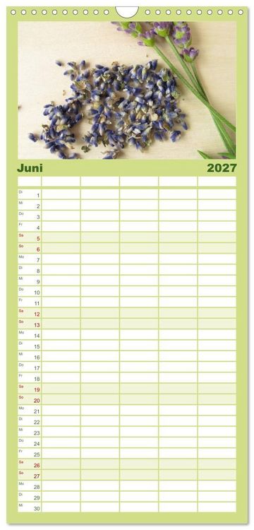 Produktbild: Familienplaner 2027 - Mit Pflanzenkraft nat&uuml;rlich heilen mit 5 Spalten (Wandkalender, 21 x 45 cm) CALVENDO