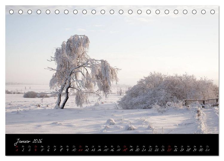 Produktbild: Hochmoor Hohes Venn (Tischkalender 2026 DIN A5 quer), CALVENDO Monatskalender