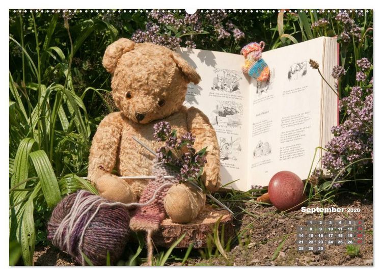 Produktbild: Geliebte B&auml;ren - Teddys (hochwertiger Premium Wandkalender 2026 DIN A2 quer), Kunstdruck in Hochglanz