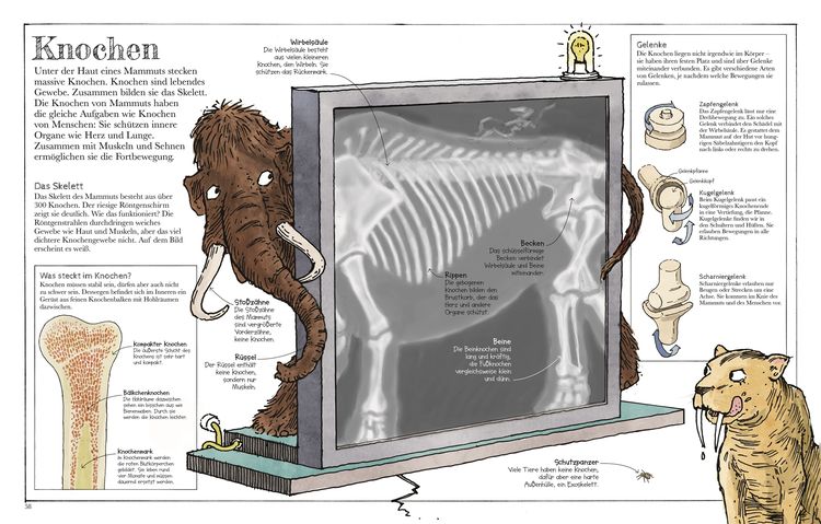 Produktbild: Das Mammut-Buch Naturwissenschaften