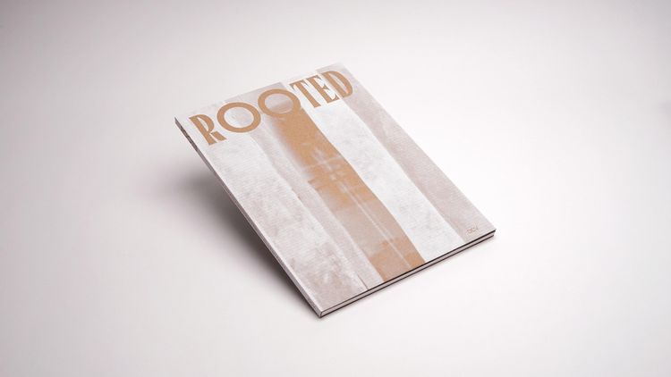 Produktbild: Rooted. Brasilianische K&uuml;nstlerinnen / Female Brazilian Artists