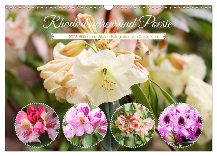 Produktbild: Rhododendren und Poesie (Wandkalender 2026 DIN A3 quer), CALVENDO Monatskalender
