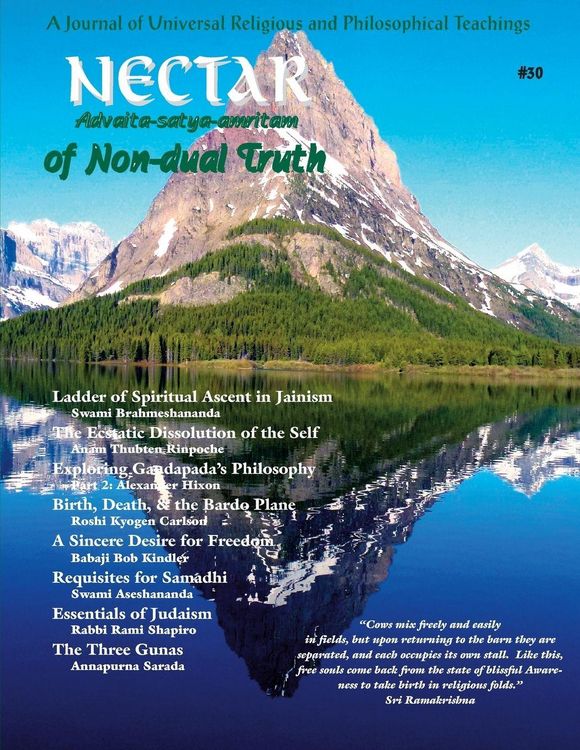 Produktbild: Nectar of Non-Dual Truth #30