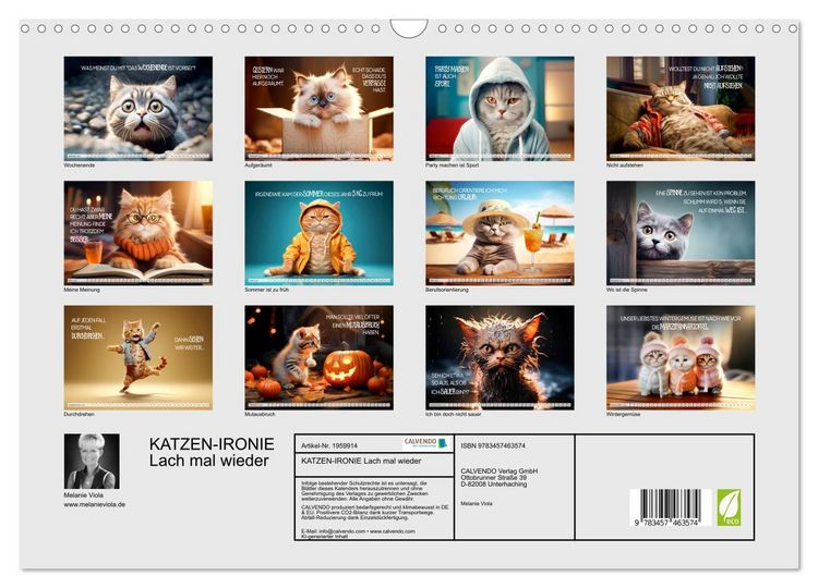 Produktbild: KATZEN-IRONIE Lach mal wieder (Wandkalender 2026 DIN A3 quer), CALVENDO Monatskalender