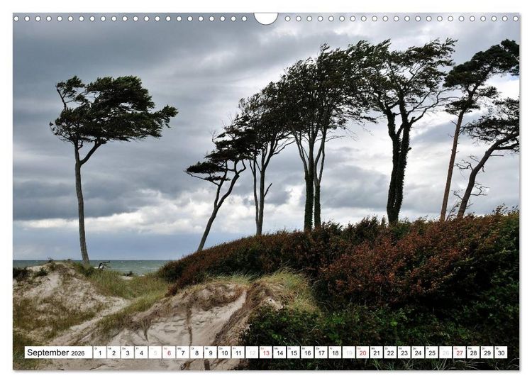 Produktbild: Naturschauspiel Dar&szlig;er Weststrand (Wandkalender 2026 DIN A3 quer), CALVENDO Monatskalender