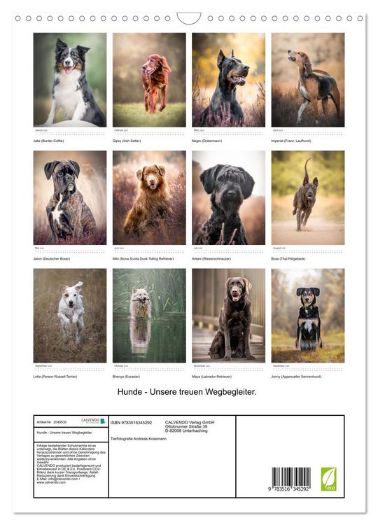 Produktbild: Hunde - Unsere treuen Wegbegleiter. (Wandkalender 2026 DIN A3 hoch), CALVENDO Monatskalender