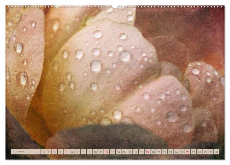 Produktbild: Rosenduft Shabby Chic Style (Wandkalender 2026 DIN A2 quer), CALVENDO Monatskalender