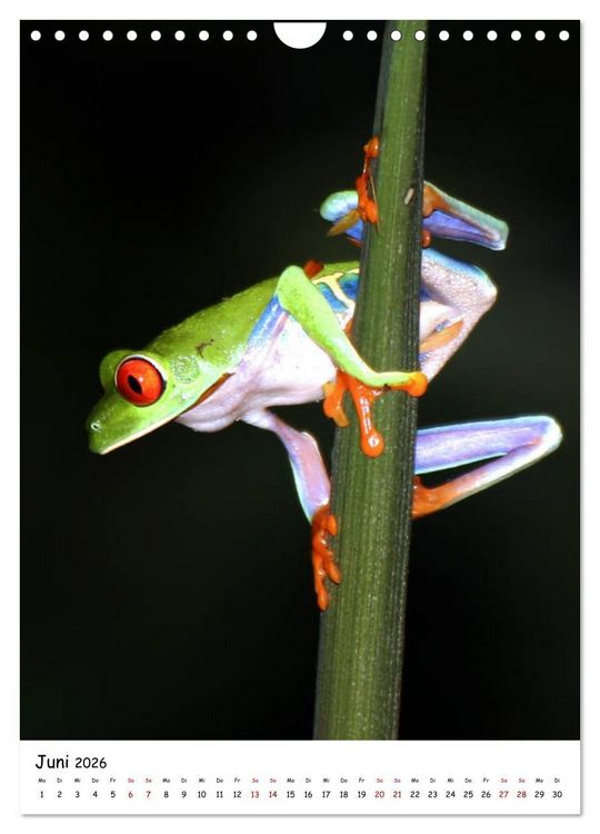 Produktbild: Costa Rica - Fauna & Flora (Wandkalender 2026 DIN A4 hoch), CALVENDO Monatskalender