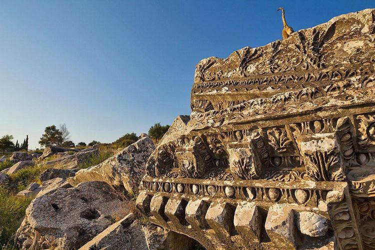 Produktbild: Cats Of Ephesos