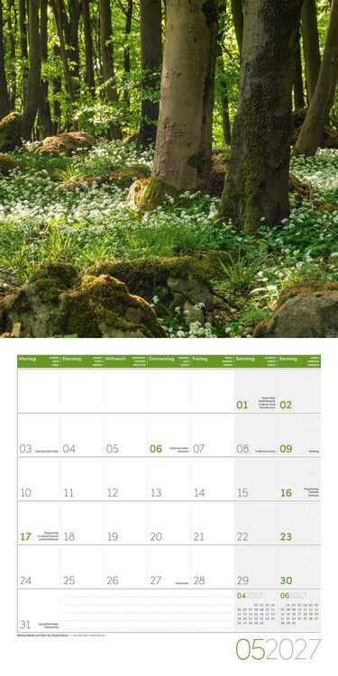 Produktbild: Zauber des Waldes Kalender 2027 - 30x30 - Art12