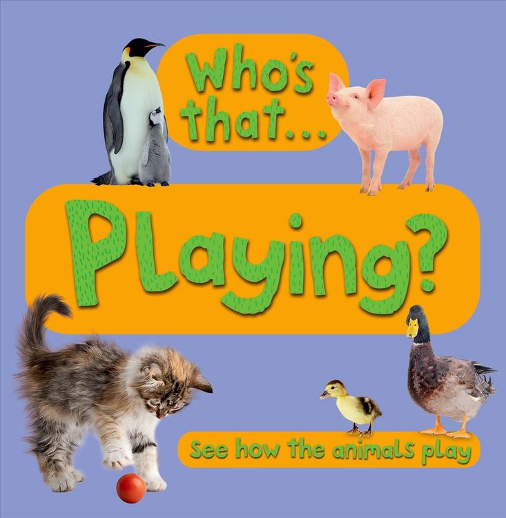 Produktbild: Whos That Playing-Board
