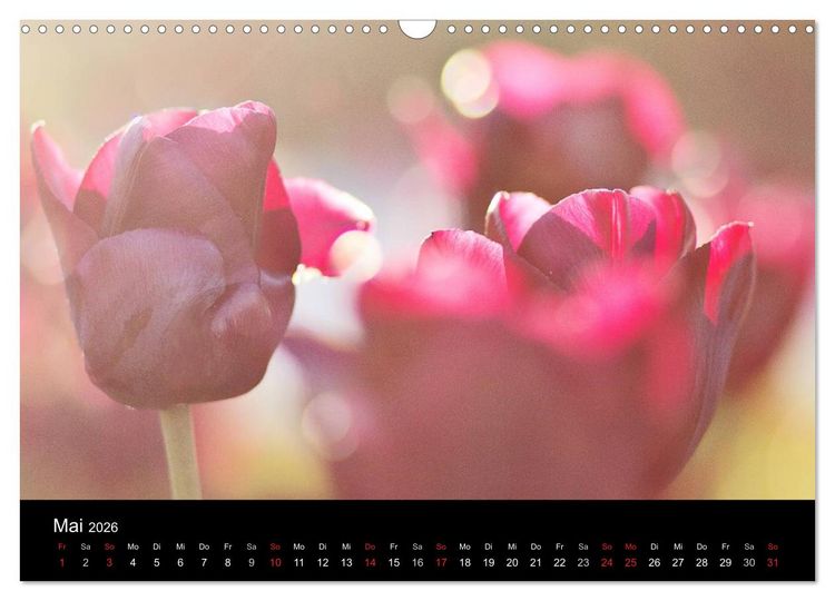 Produktbild: Bl&uuml;tenzauber 2026 (Wandkalender 2026 DIN A3 quer), CALVENDO Monatskalender