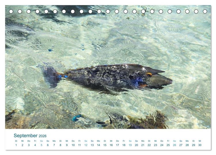 Produktbild: S&uuml;dsee-Insel Huahine - Paradies am Ende der Welt (Tischkalender 2026 DIN A5 quer), CALVENDO Monatskalender