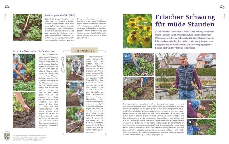 Produktbild: Dein sch&ouml;ner Garten