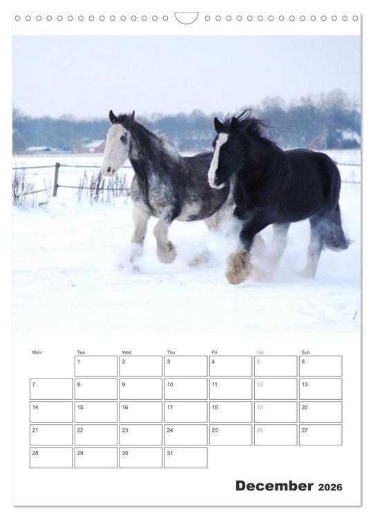 Produktbild: Shire Horses The Gentle Giants (Wall Calendar 2026 DIN A3 portrait), CALVENDO 12 Month Wall Calendar