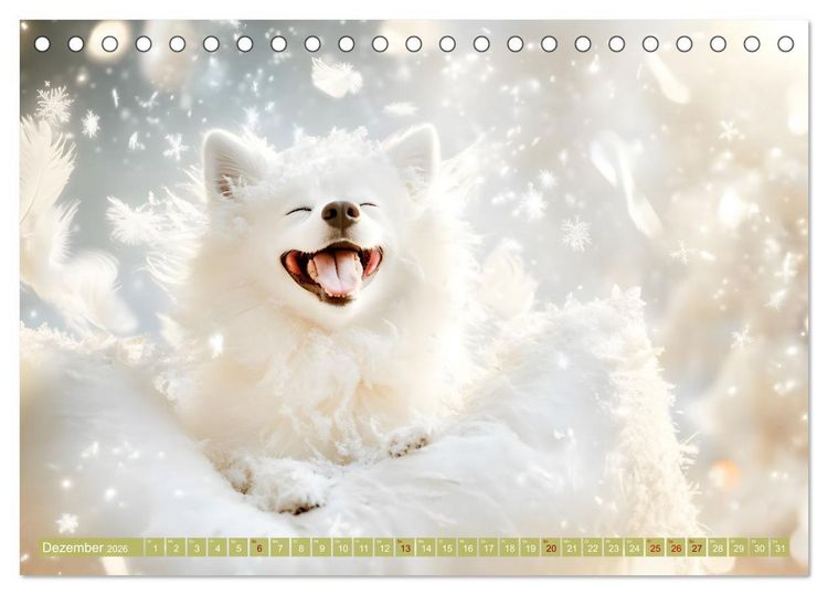 Produktbild: Pfoten Magie (Tischkalender 2026 DIN A5 quer), CALVENDO Monatskalender