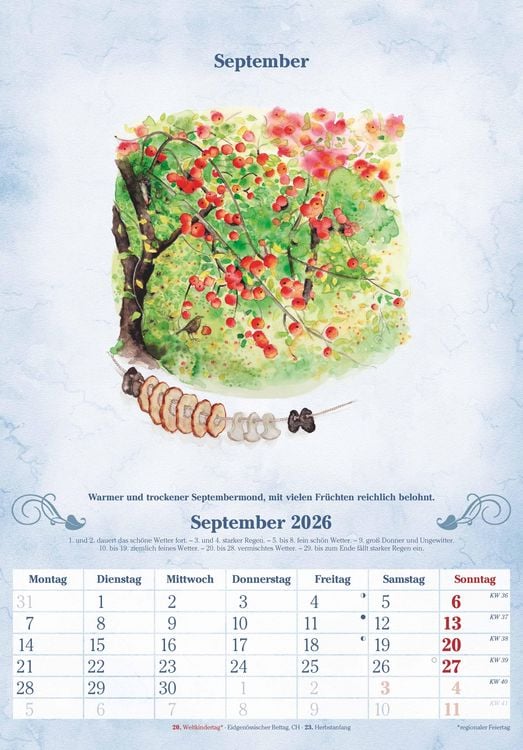 Produktbild: 100-jähriger Kalender 2026 - Bildkalender 23,7x34 cm - mit Wetterprognosen, Bauernregeln und liebevollen Illustrationen - Wandkalender - Alpha Edition