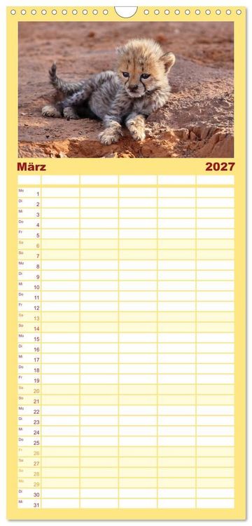 Produktbild: Familienplaner 2027 - Wildes Kinderzimmer - Tierkinder in Afrika mit 5 Spalten (Wandkalender, 21 x 45 cm) CALVENDO