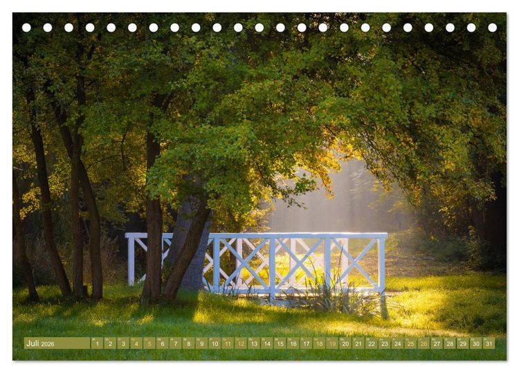 Produktbild: Herbst im Dieskauer Park (Tischkalender 2026 DIN A5 quer), CALVENDO Monatskalender