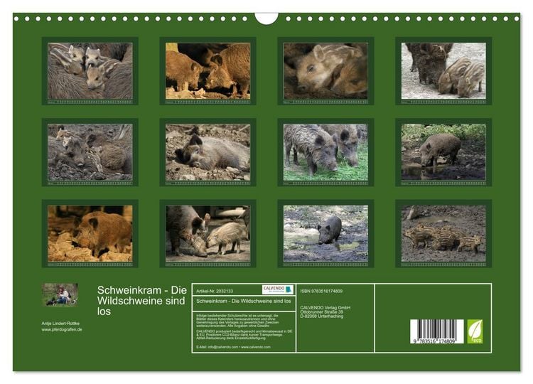 Produktbild: Schweinkram - Die Wildschweine sind los (Wandkalender 2026 DIN A3 quer), CALVENDO Monatskalender