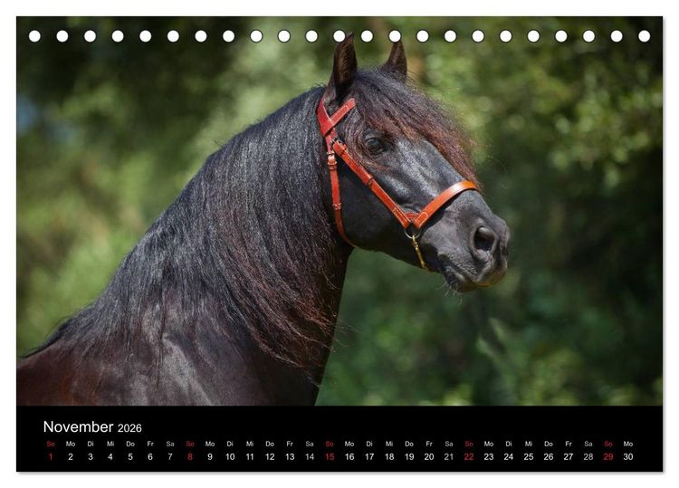 Produktbild: Spaniens stolze Pferde (Tischkalender 2026 DIN A5 quer), CALVENDO Monatskalender